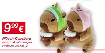 KiK Plüsch-capybara Angebot