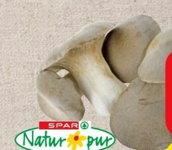 Eurospar Bio Krauterseitlinge Angebot