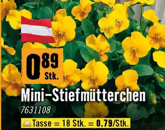 Hornbach Mini-Stiefmütterchen Angebot