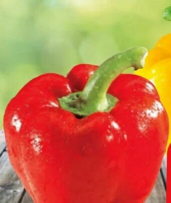 Eurospar Paprika Angebot