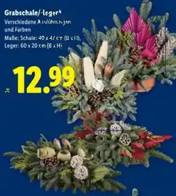Lidl Grabschale leger Angebot