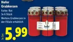 Lidl Hofer grabkerzen Angebot
