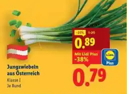Lidl Jungzwiebeln aus österreich Angebot