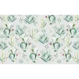 Möbelix Vliestapete 400/250 cm Kaktus Angebot