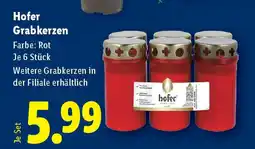 Lidl Hofer grabkerzen Angebot