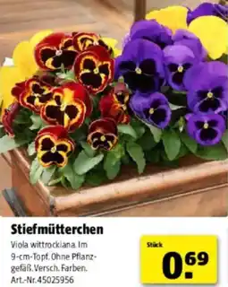 Hagebau Stiefmütterchen Angebot