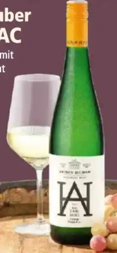 Norma Weingut Armin Huber Bio Riesling Kamptal Angebot