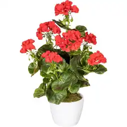 Möbelix Kunstpflanze Geranie inkl. Topf D: 13 cm Angebot