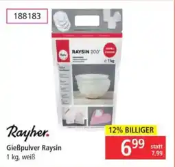 Libro Rayher. Gießpulver Raysin Angebot