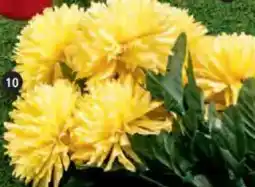 Libro Chrysanthemenstrauß 40 x 20 cm Angebot