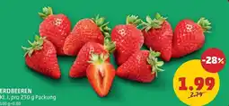 PENNY Erdbeeren Angebot