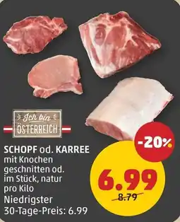 PENNY Schopf od. karree Angebot
