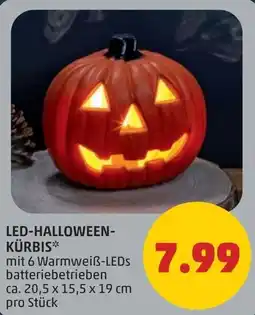 PENNY Led-halloween- kürbis Angebot