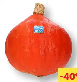 MPreis Bio vom Berg Hokkaido Kürbis Angebot