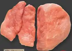 PENNY Ich bin Österreich Schweinsschnitzelfleisch Angebot