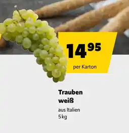 Eurogast Grissemann Trauben weiß Angebot