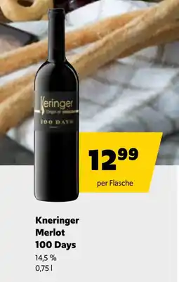 Eurogast Grissemann Kneringer Merlot 100 Days Angebot