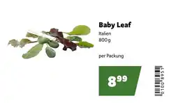 Eurogast Grissemann Baby Leaf Angebot