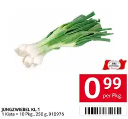 Transgourmet JUNGZWIEBEL Angebot