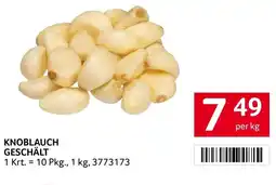 Transgourmet Knoblauch geschält Angebot