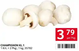 Transgourmet CHAMPIGNON Angebot