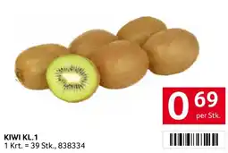 Transgourmet Kiwi Angebot