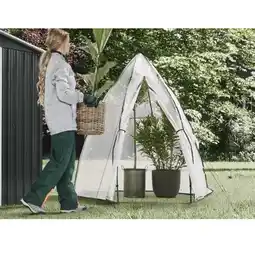 Lidl Gewächshaus/Überwinterungszelt Lidl Angebot
