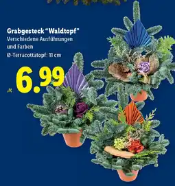 Lidl Grabgesteck waldtopf Angebot