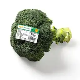 Billa Billa immer gut Brokkoli Angebot