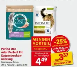 Interspar Purina One oder Perfect Fit Katzentrocken nahrung Angebot