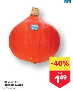 MPreis Hokkaido Kürbis Angebot