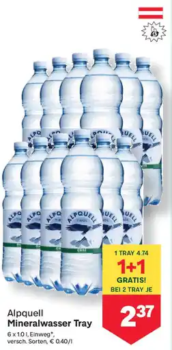 MPreis Alpquell Mineralwasser Tray Angebot