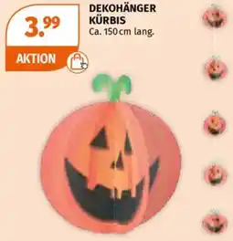 Müller Dekohänger kürbis Angebot