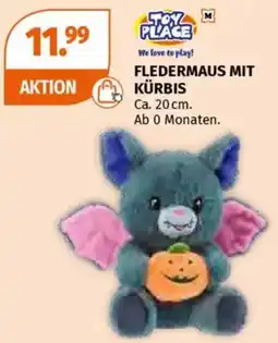 Müller Fledermaus mit kürbis Angebot