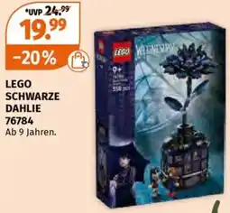 Müller Lego schwarze dahlie 76784 Angebot
