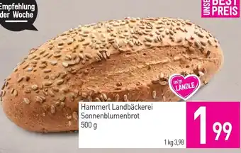 Sutterlüty Hammerl Landbäckerei Sonnenblumenbrot Angebot