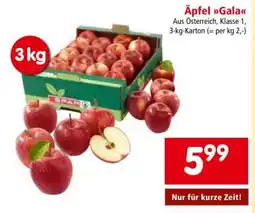 Interspar Äpfel Gala Angebot