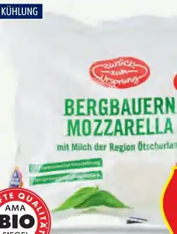 Hofer Zurück zum Ursprung Bio-Mozzarella Angebot