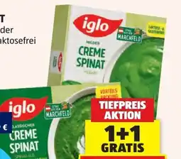 Hofer Iglo Cremespinat Angebot
