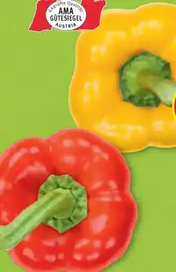 Hofer Hofer Marktplatz Paprika Angebot