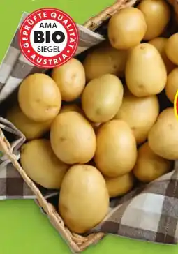 Hofer Zurück zum Ursprung Bio-Kartoffeln Angebot