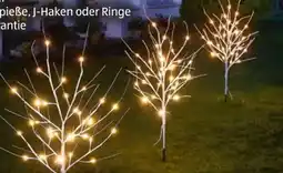 Hofer Casalux LED-Lichterbaum Angebot