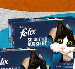 Spar Purina Felix Katzennahrung Angebot