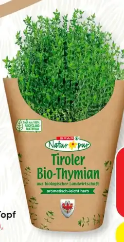 SPAR Gourmet Spar Natur pur Bio-Thymian Topf Angebot