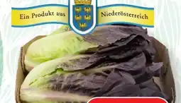 SPAR Gourmet Spar Natur pur Bio-Salatherzen Angebot