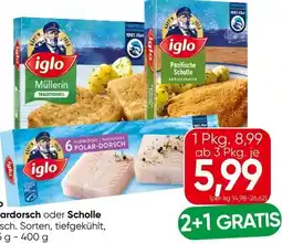 Eurospar Iglo Polardorsch Angebot