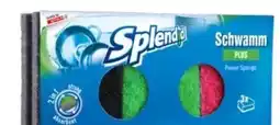Interspar Splendid Schwämme Plus Angebot