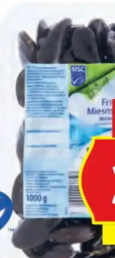 Hofer Almare Miesmuscheln Angebot
