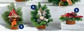 Hofer Allerheiligengesteck Klassisch Angebot
