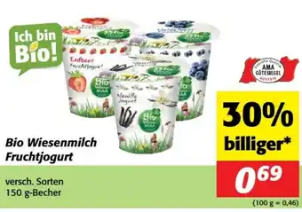 Nah&Frisch Bio Wiesenmilch Fruchtjogurt Angebot
